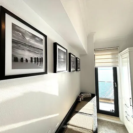 Apartment Viva Solid House