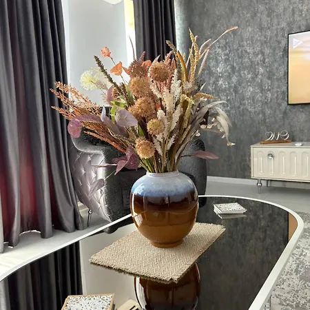 Viva Solid House Apartment Mamaia