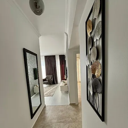 Viva Solid House